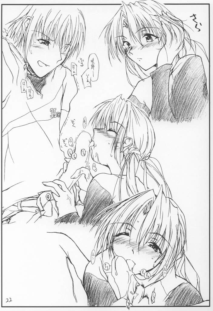 (CR30) [夜の勉強会 (ふみひろ)] 13 (シスタープリンセス)