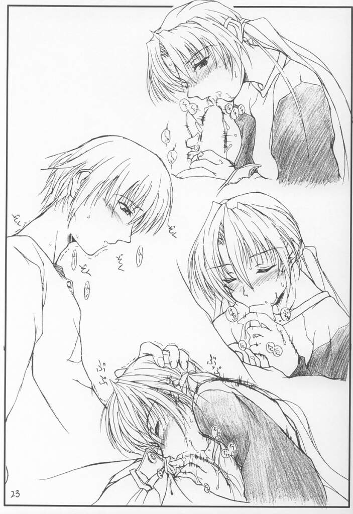 (CR30) [夜の勉強会 (ふみひろ)] 13 (シスタープリンセス)