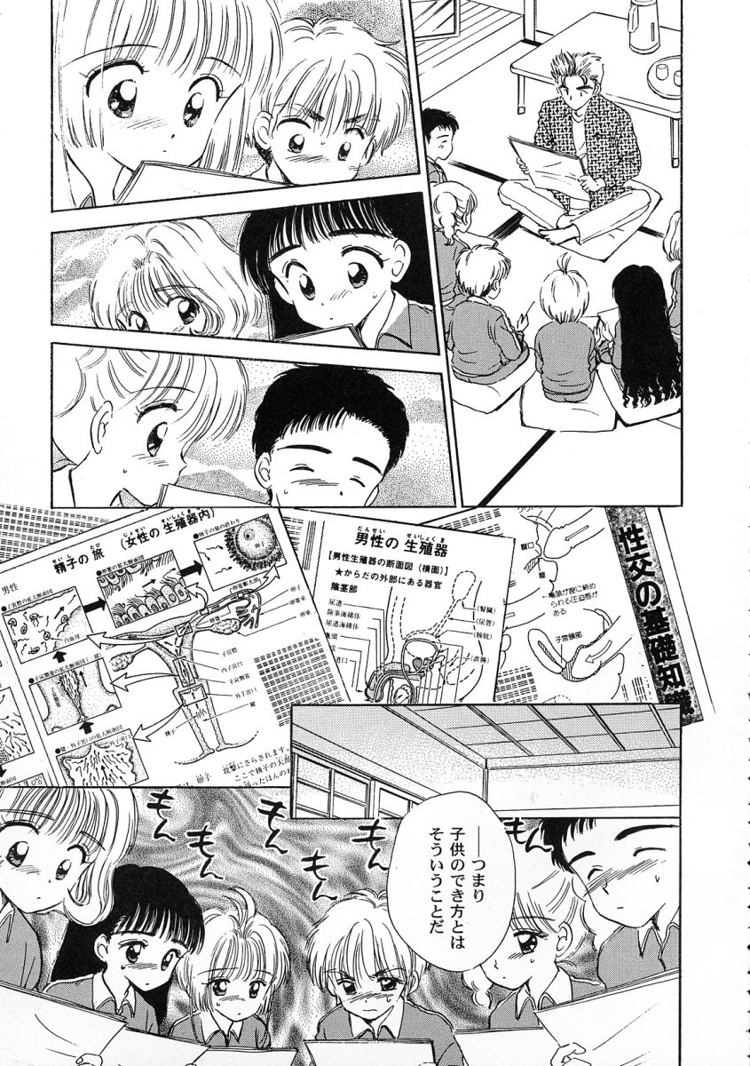 [アンソロジー] 友枝学園ファイル 2 (カードキャプターさくら)