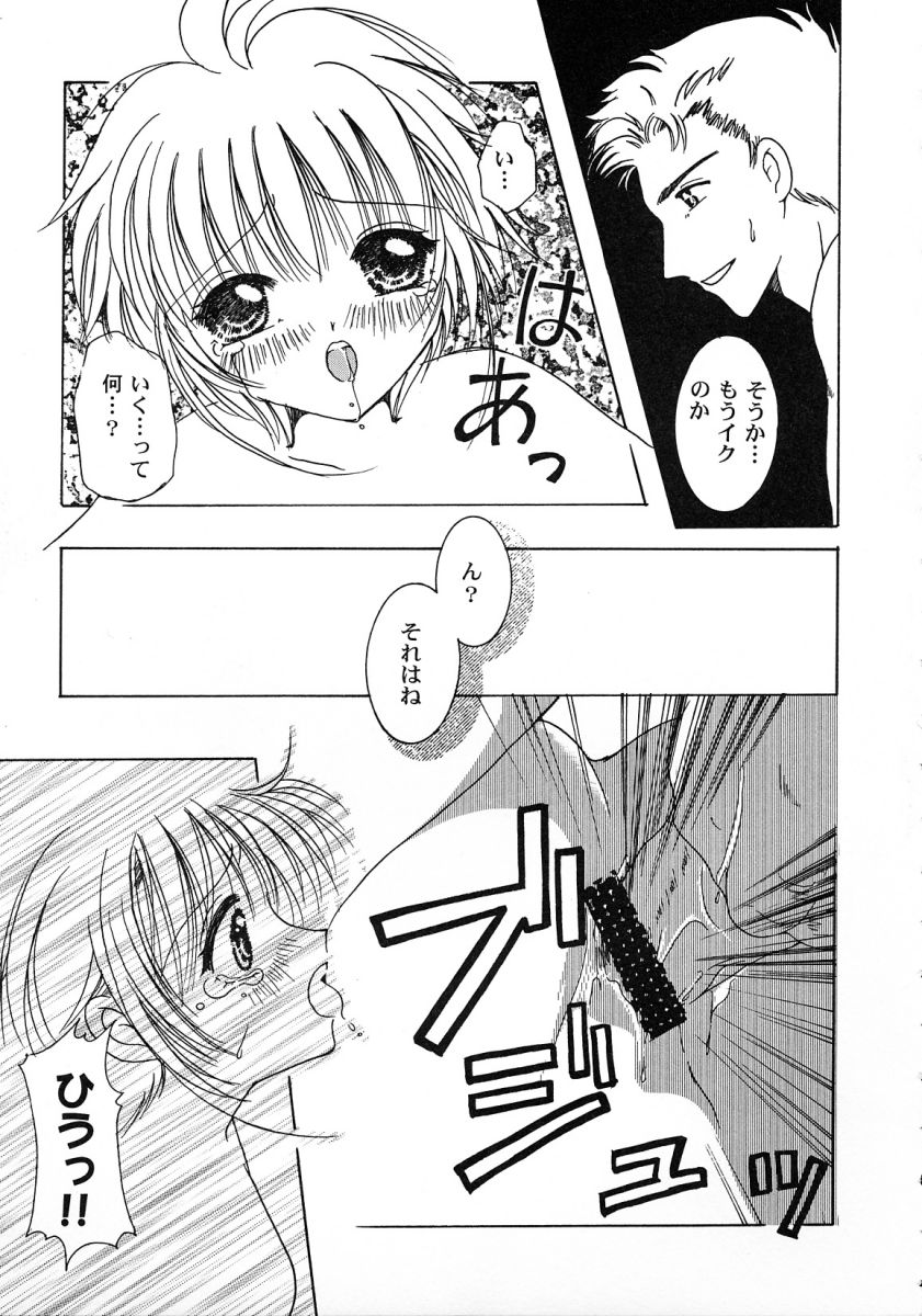 [アンソロジー] 友枝学園ファイル 2 (カードキャプターさくら)