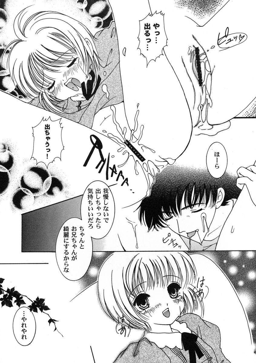 [アンソロジー] 友枝学園ファイル 2 (カードキャプターさくら)