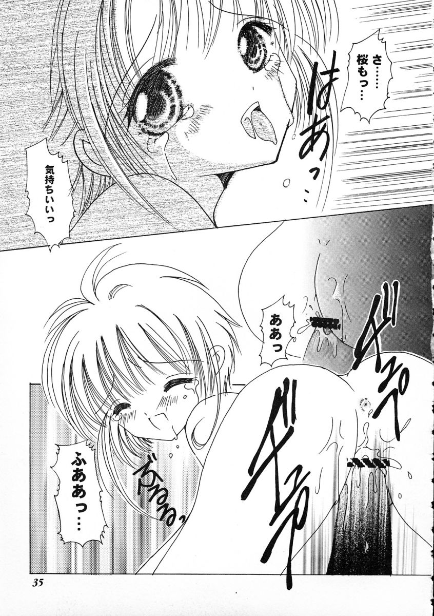 [アンソロジー] 友枝学園ファイル 2 (カードキャプターさくら)