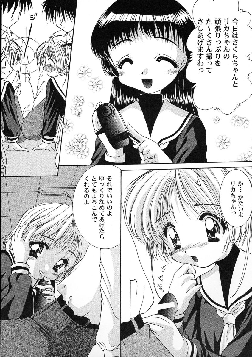 [アンソロジー] 友枝学園ファイル 2 (カードキャプターさくら)