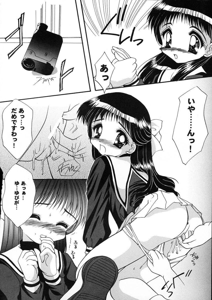 [アンソロジー] 友枝学園ファイル 2 (カードキャプターさくら)