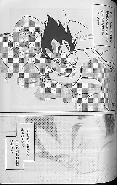 【ドラゴンボール】聖母たちのラバイ