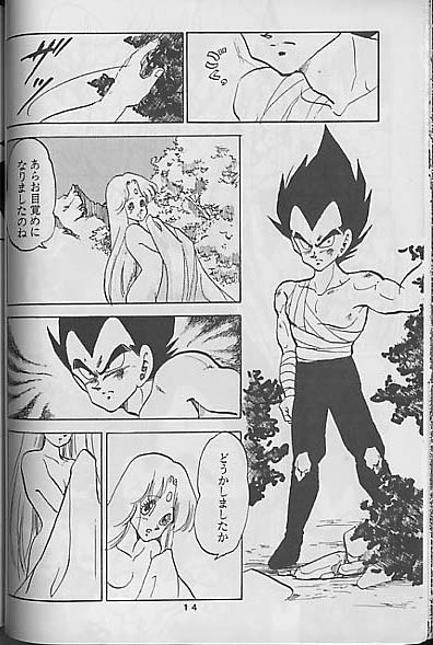 【ドラゴンボール】聖母たちのラバイ