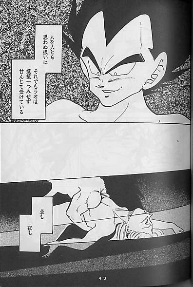 【ドラゴンボール】聖母たちのラバイ