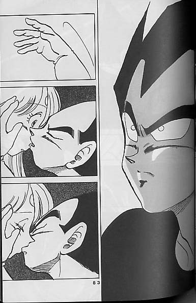 【ドラゴンボール】聖母たちのラバイ