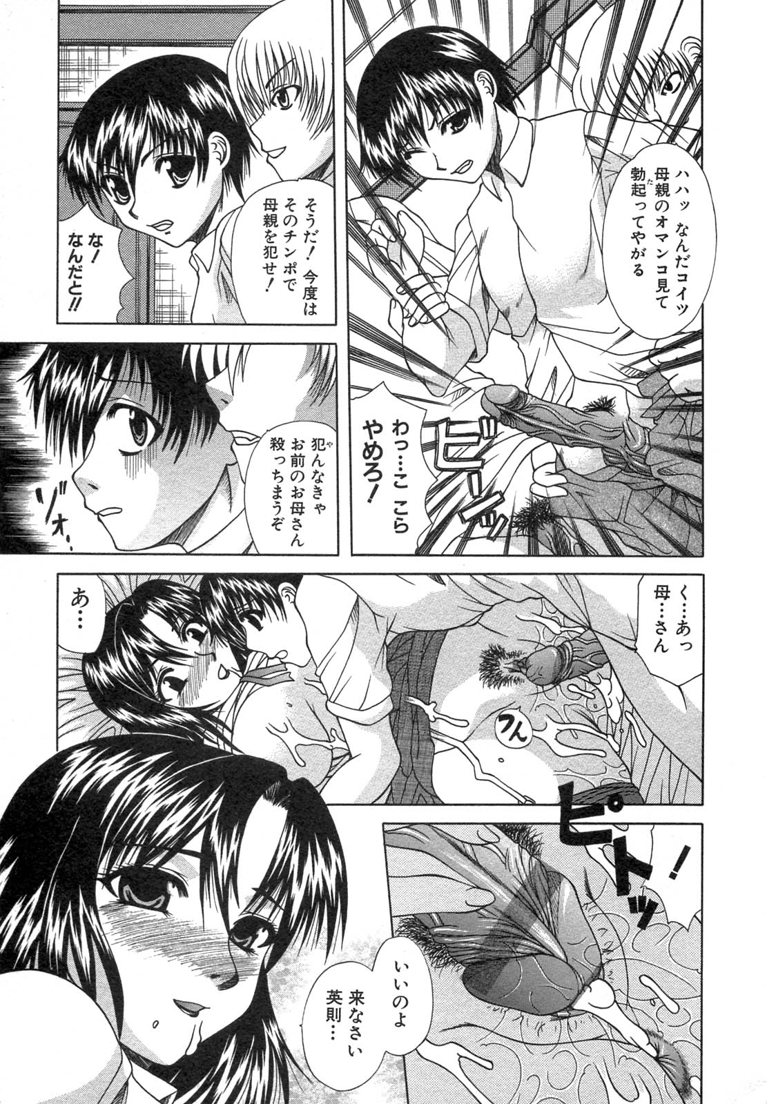 [アンソロジー] 禁断姦淫 Vol.12 母子相姦
