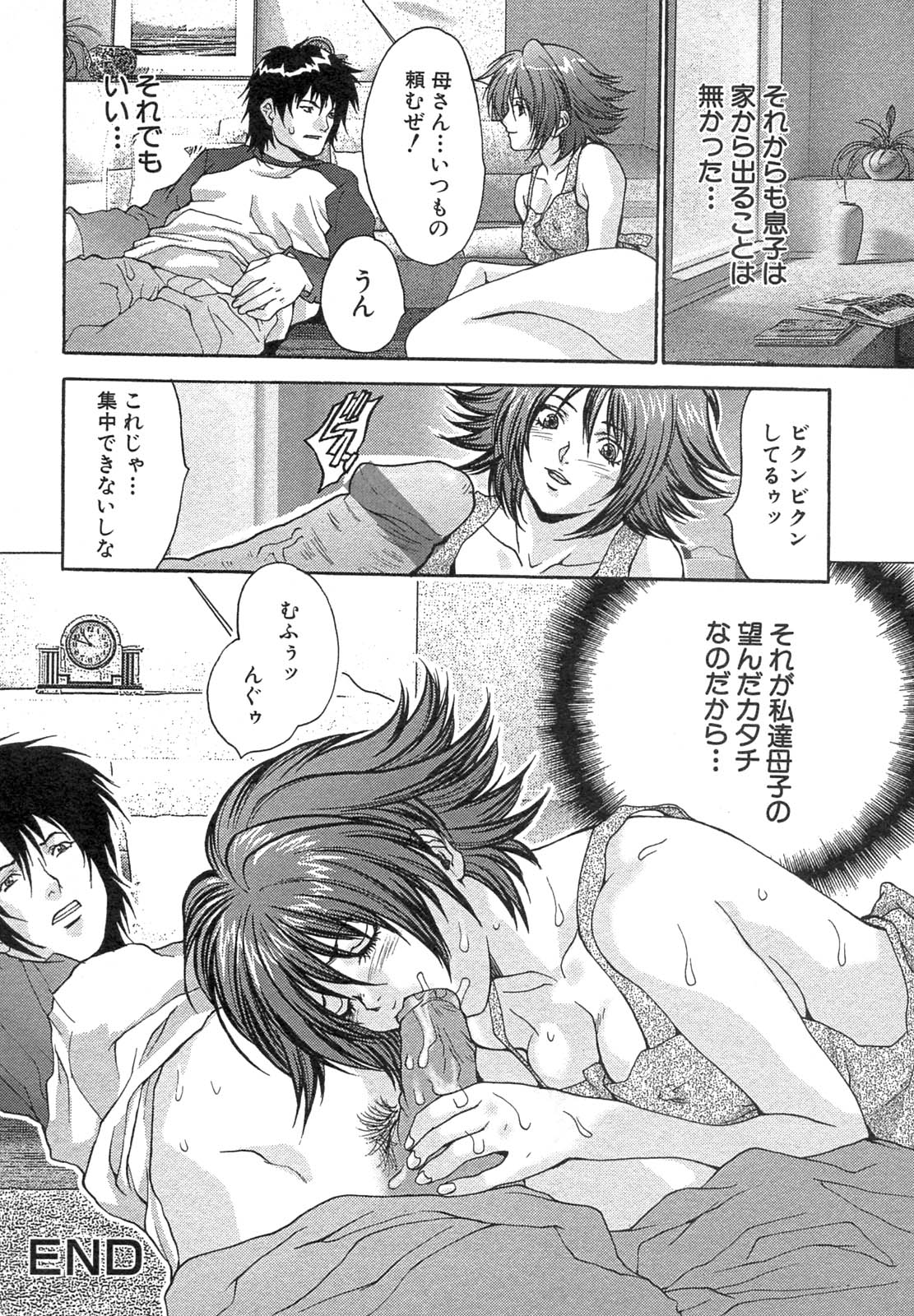 [アンソロジー] 禁断姦淫 Vol.12 母子相姦