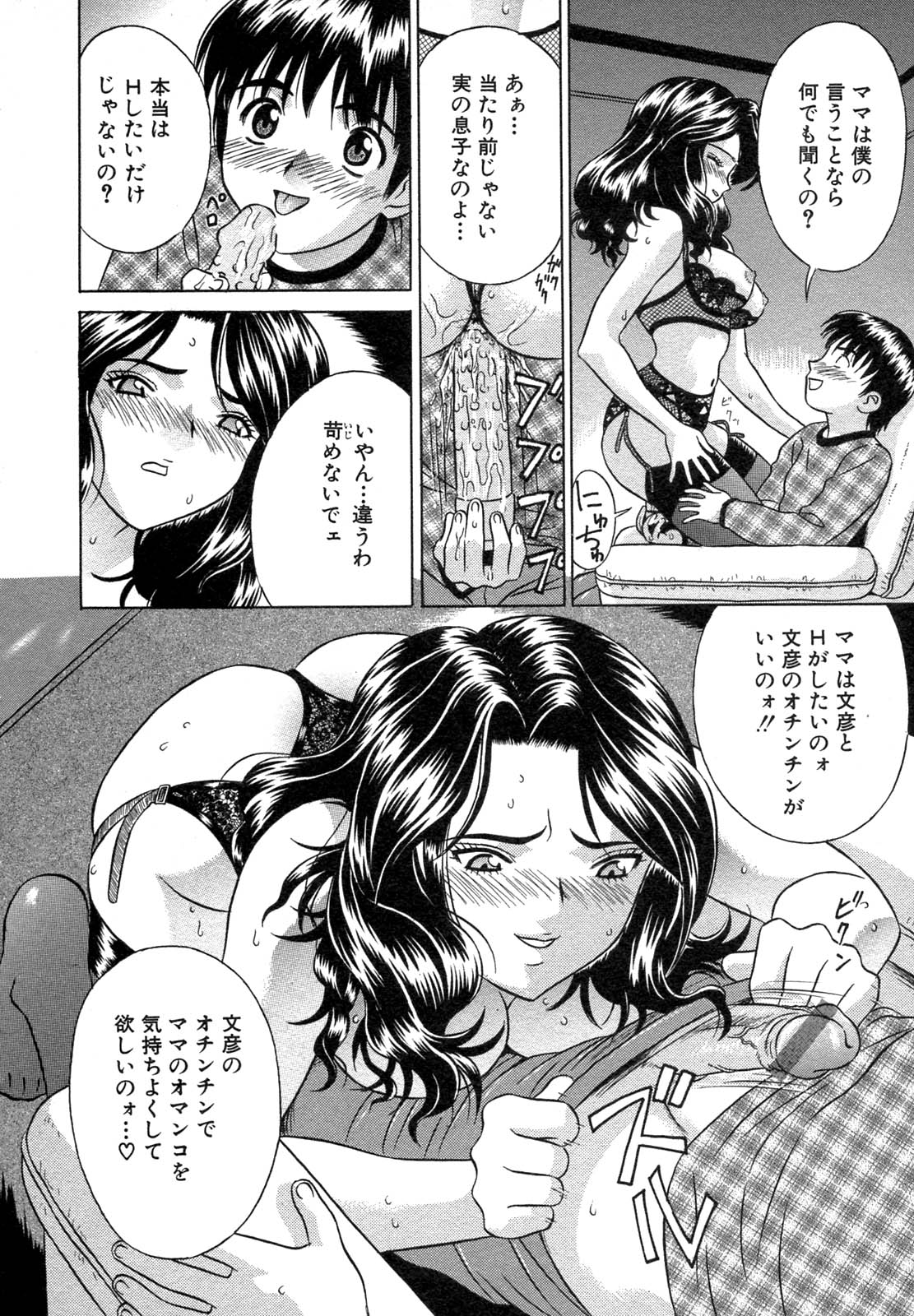 [アンソロジー] 禁断姦淫 Vol.12 母子相姦