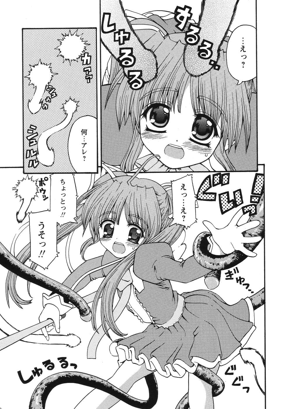 [カイシンシ] まじからいず