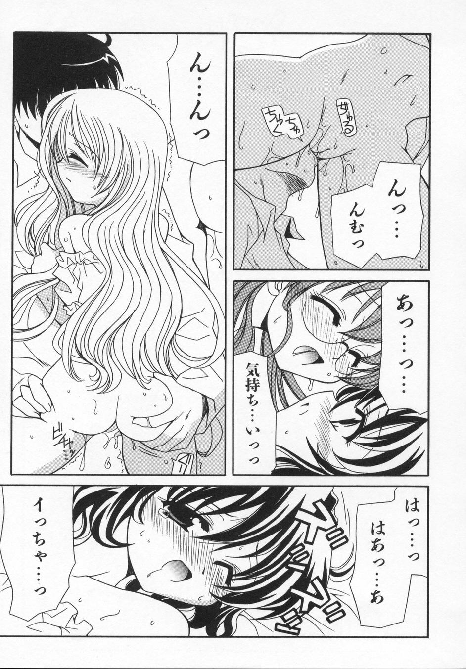 [叶穂郎] Rose Bud
