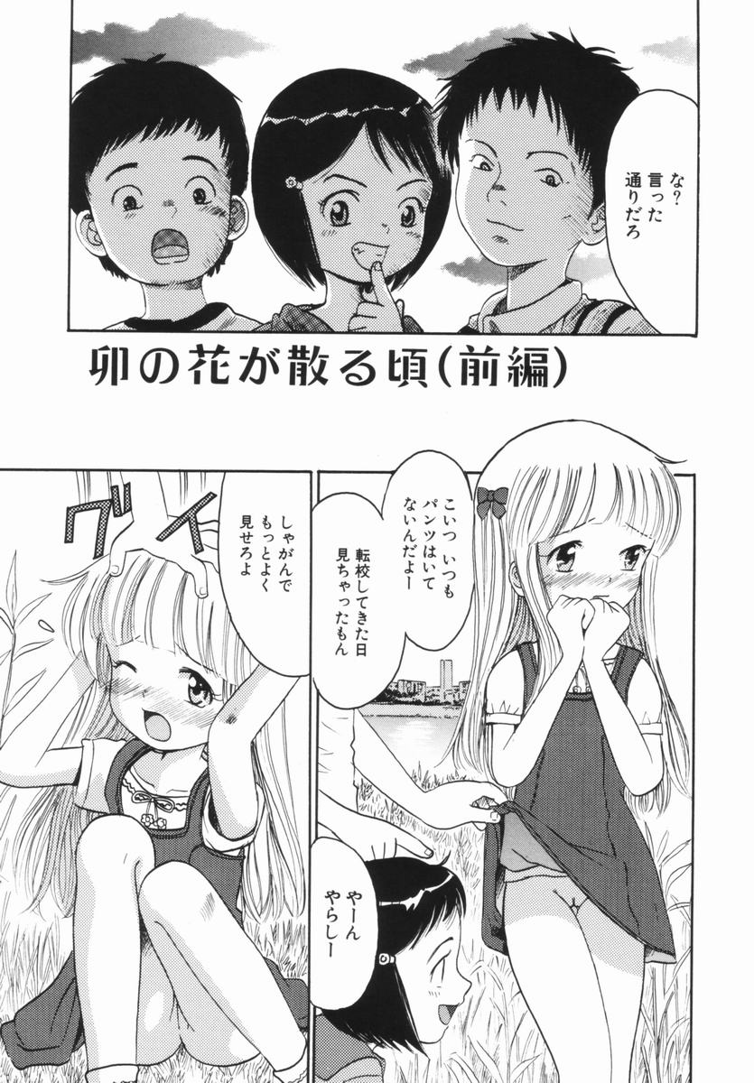 [おがわ甘藍] 禁断の林檎