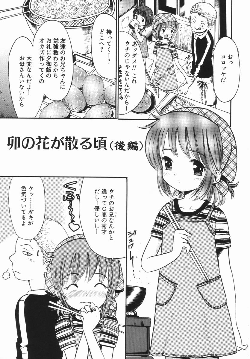 [おがわ甘藍] 禁断の林檎