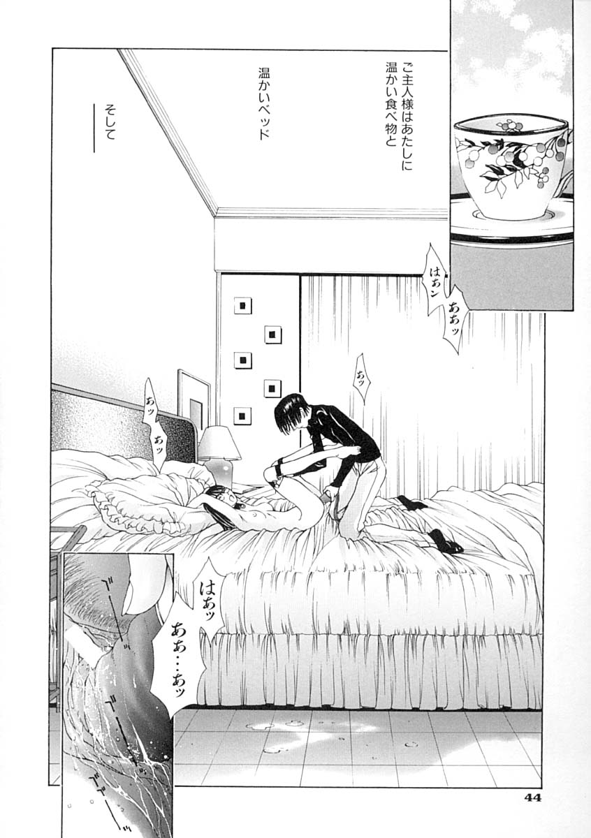 [はらざきたくま] 馴花