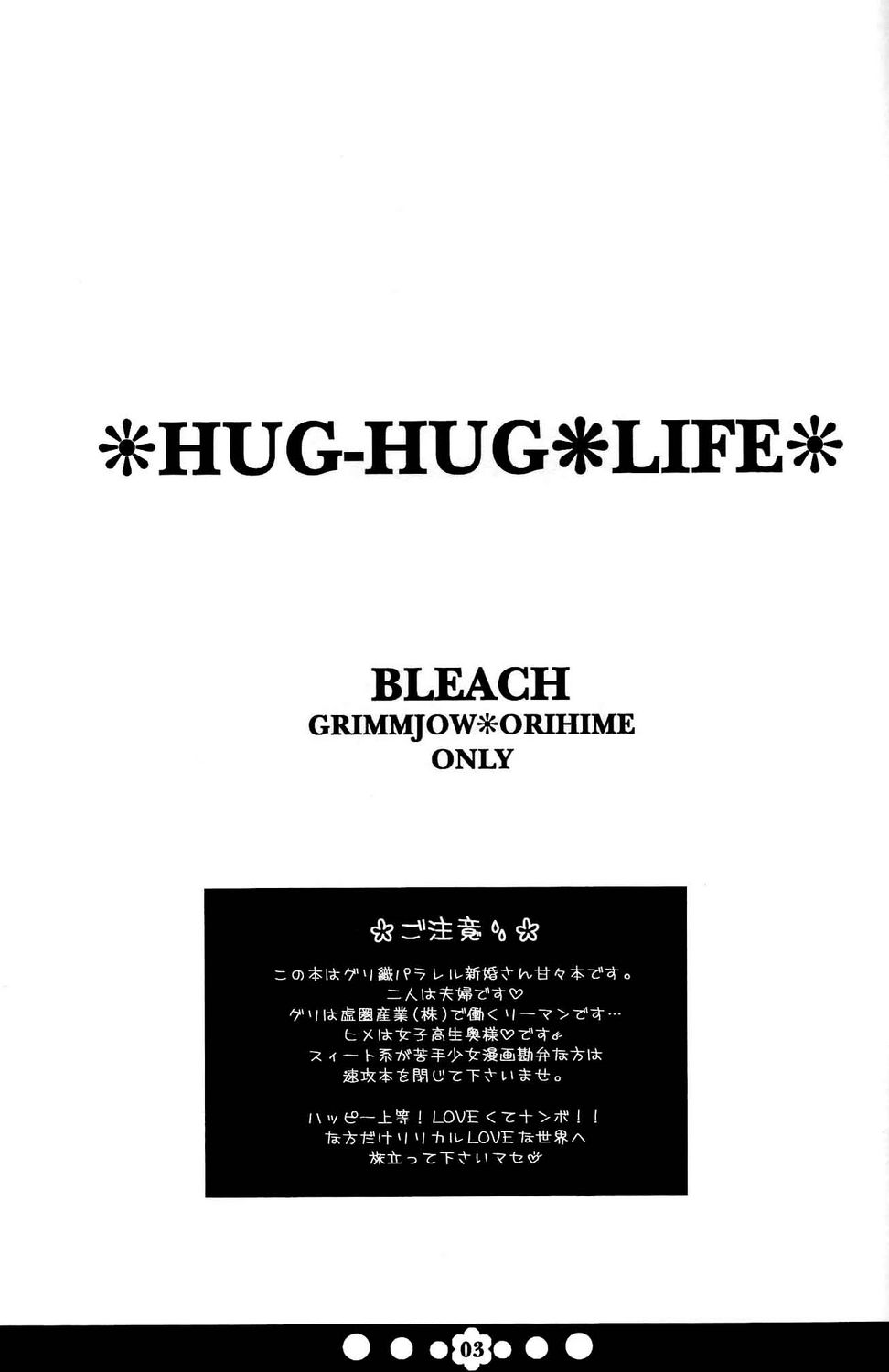 (C72) [Funny Devil (岡田れいみ)] HUG-HUG*LIFE (ブリーチ)