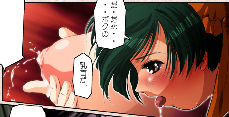 【カントリーファーム】ニードルガーデンVol。 14（セーラームーン）