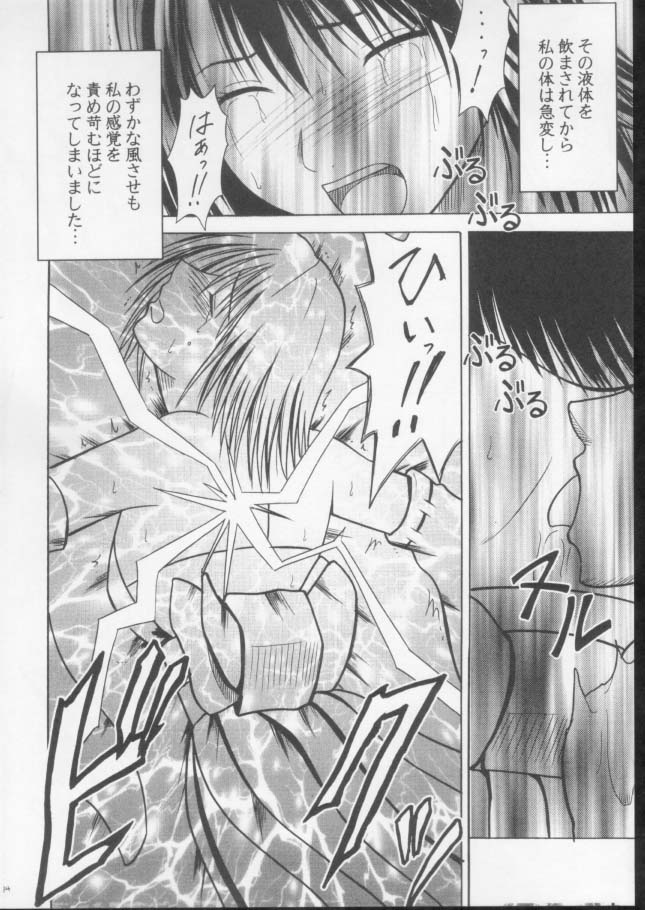 (C61) [クリムゾンコミックス (カーマイン)] 錯乱した隠遁者 (ファイナルファンタジー X)