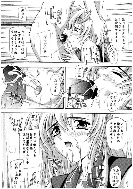 (C71) [すたぢおQ (奈塚Q弥)] ラクスですてにぃ～ 総集編 3 (機動戦士ガンダムSEED DESTINY)
