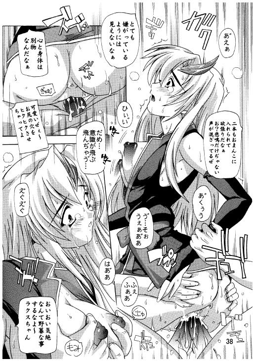 (C71) [すたぢおQ (奈塚Q弥)] ラクスですてにぃ～ 総集編 3 (機動戦士ガンダムSEED DESTINY)