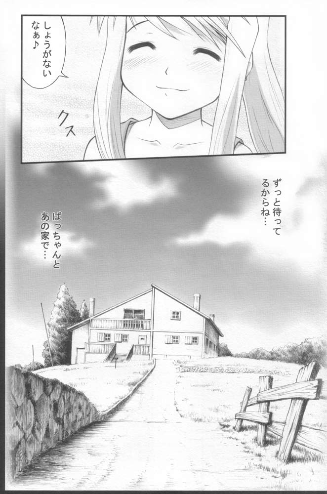 (C68) [ぷり桃 (ごやっち)] 改造したいお年頃♪ (鋼の錬金術師)