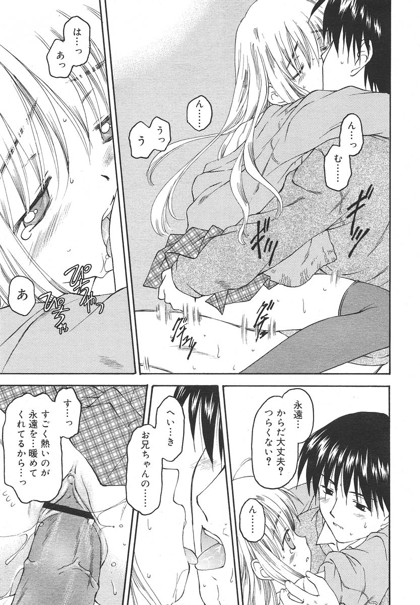 Comic RIN Vol. 13 2006年 1月