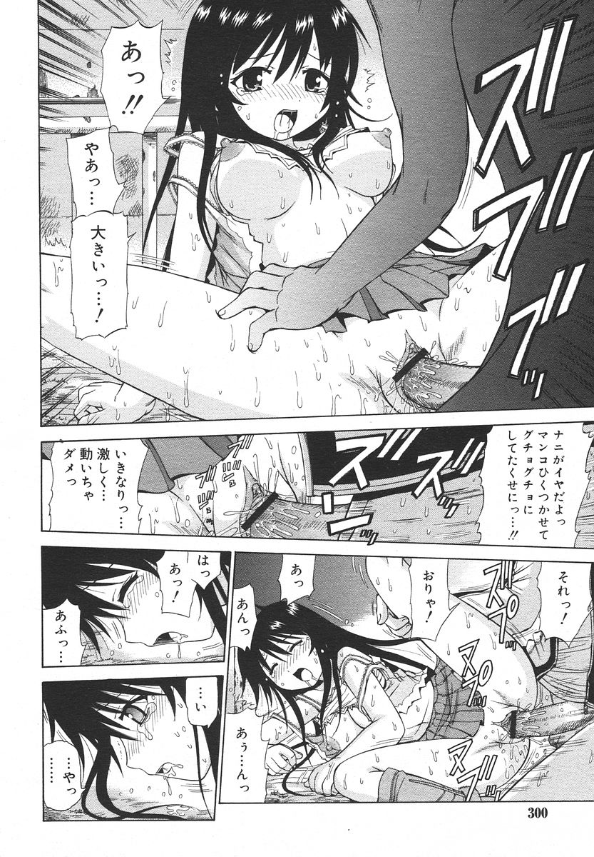 Comic RIN Vol. 13 2006年 1月