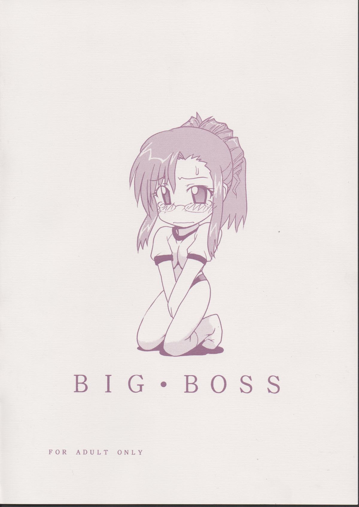 (Cレヴォ32) [BIG・BOSS (本体売)] みずほ (おねがい☆ティーチャー)