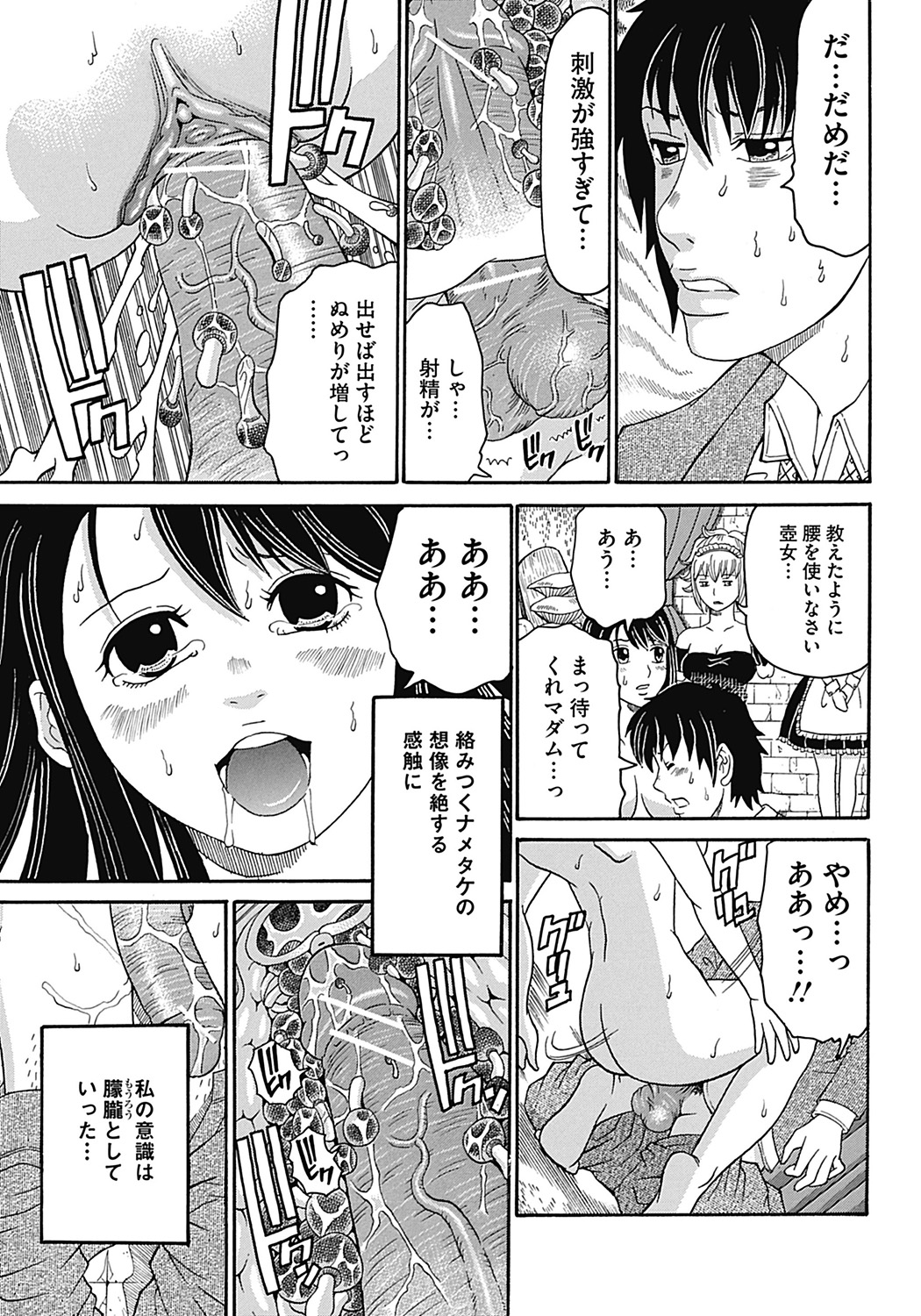 COMIC Mate 2012年12月号 Vol.195 [DL版]