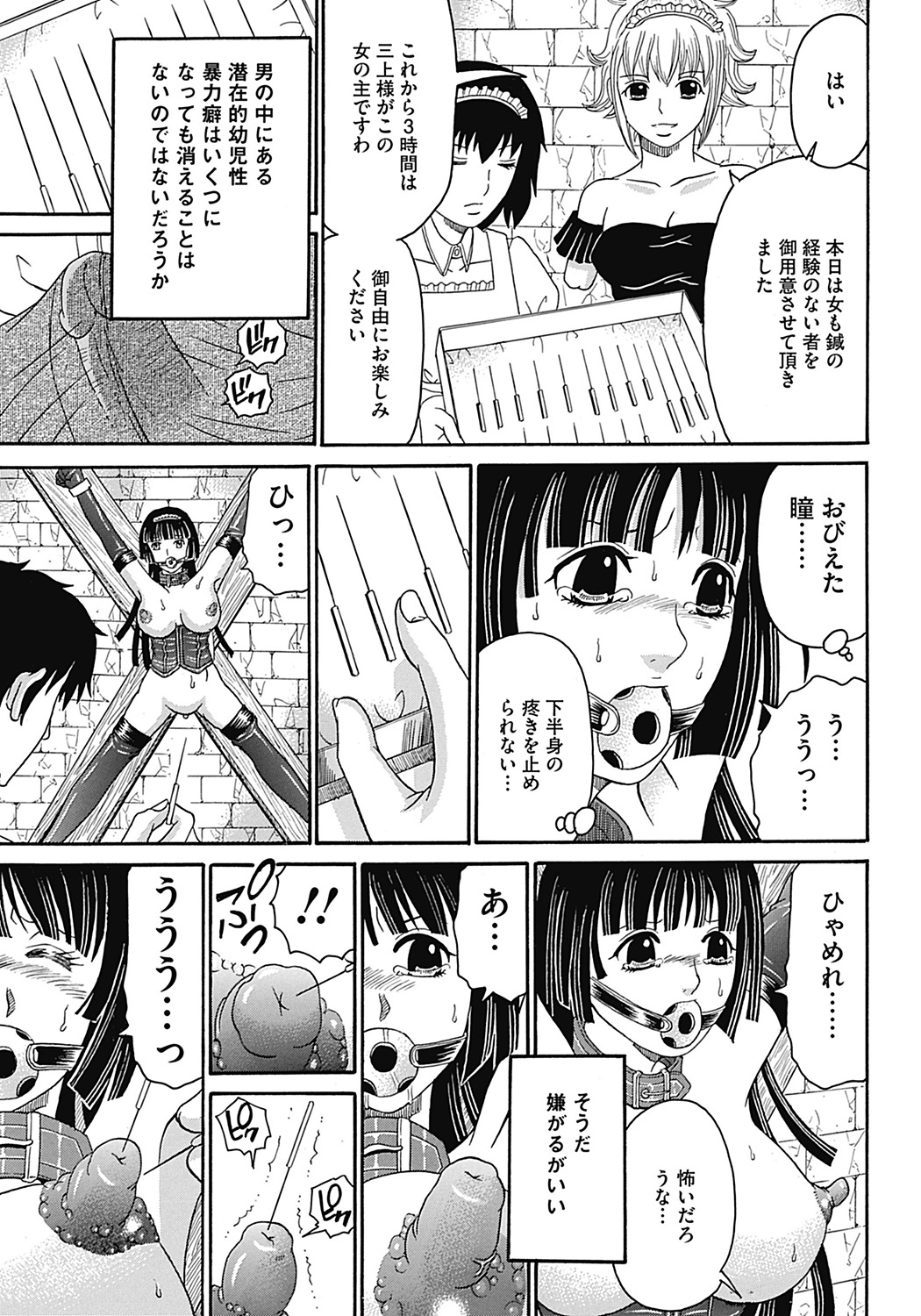 COMIC Mate 2012年12月号 Vol.195 [DL版]