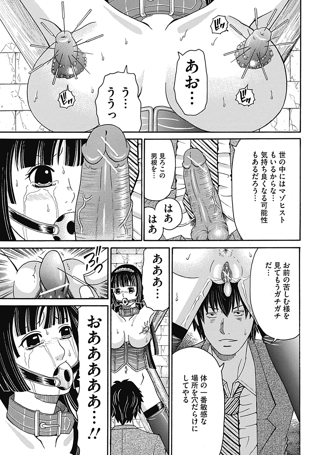 COMIC Mate 2012年12月号 Vol.195 [DL版]