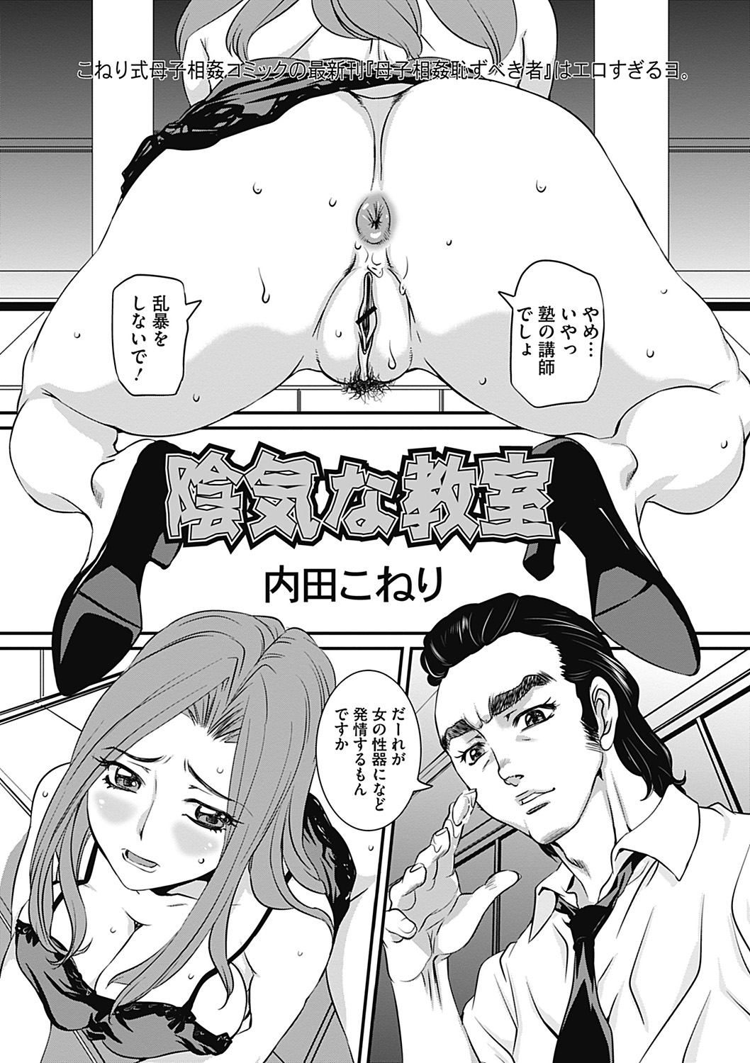 COMIC Mate 2012年12月号 Vol.195 [DL版]