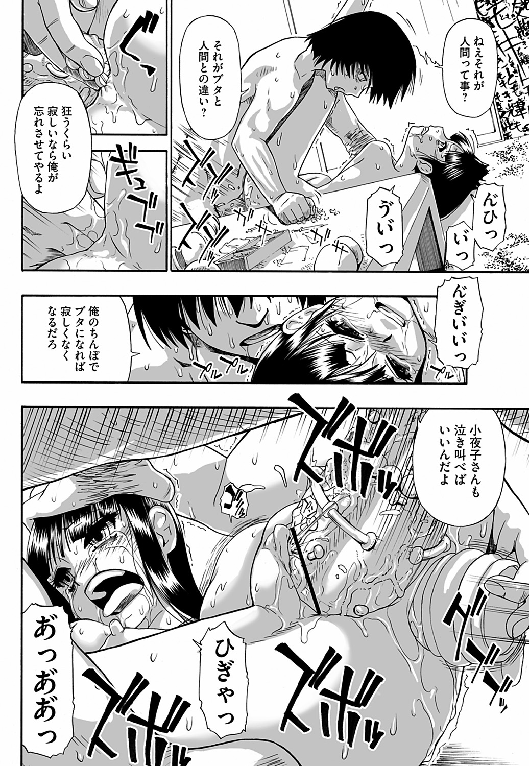 COMIC Mate 2012年12月号 Vol.195 [DL版]