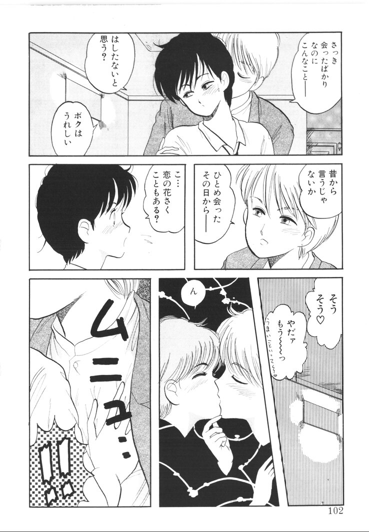 [西原青一] ふあうんでえしょん