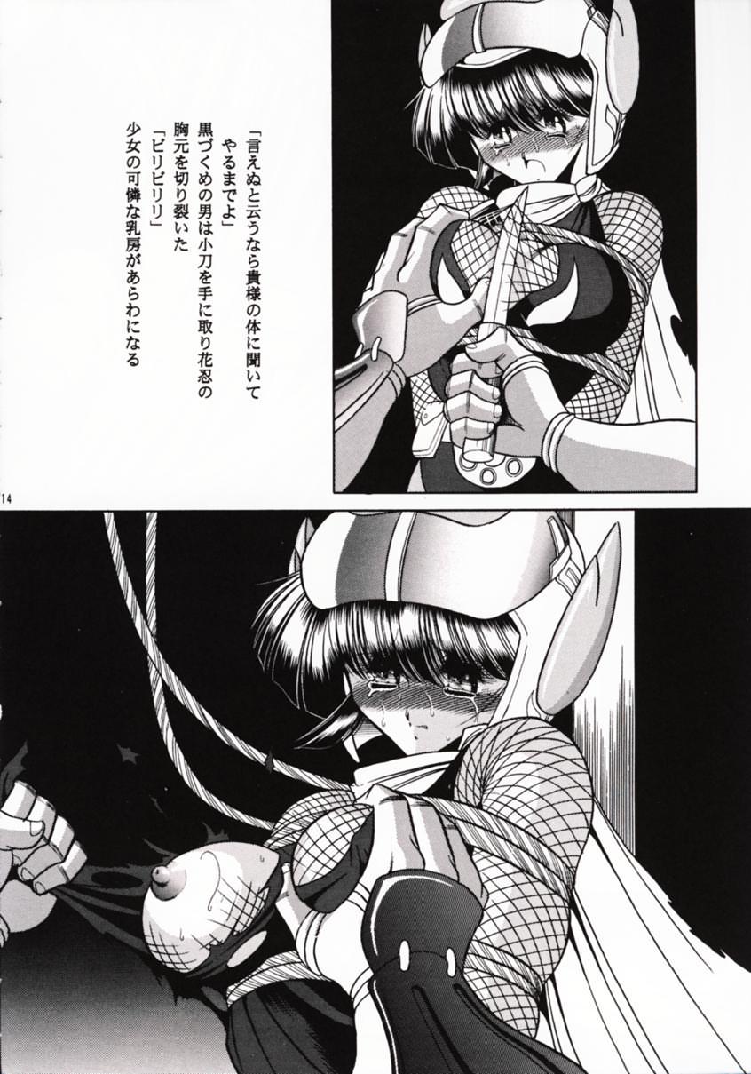 [サークル太平天国 (堀川悟郎)] 花忍武芸帳 (忍者キャプター)