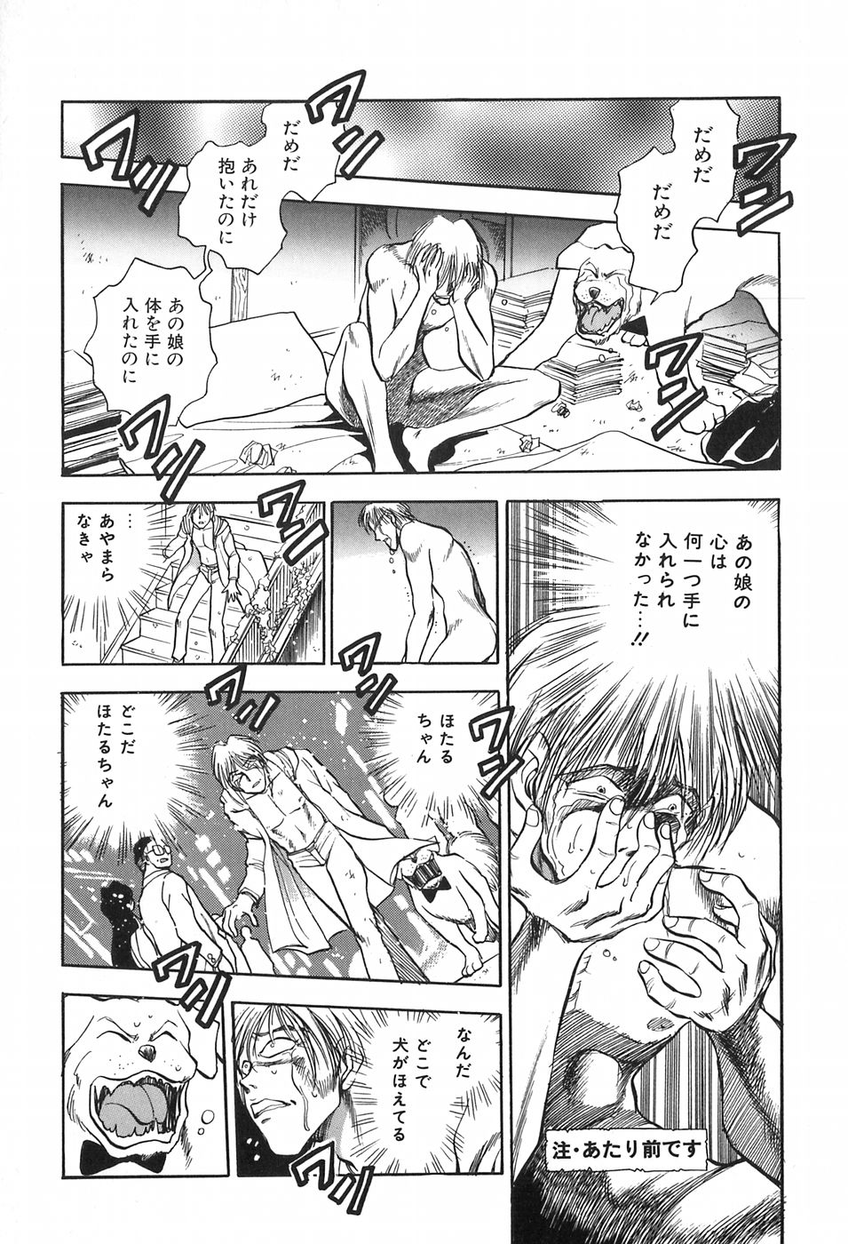 [千葉治郎] ほたるのきぶん