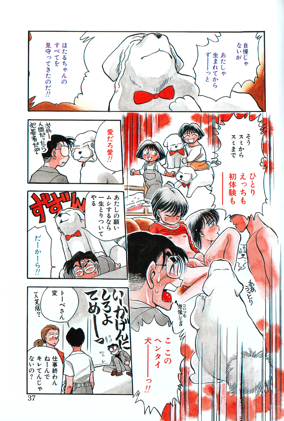 [千葉治郎] ほたるのきぶん