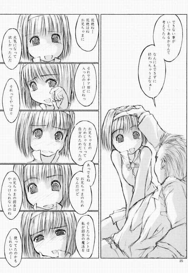 [flc.editorialworks (舞蔦ている)] LOVERS LEAP 03 (シスター・プリンセス)