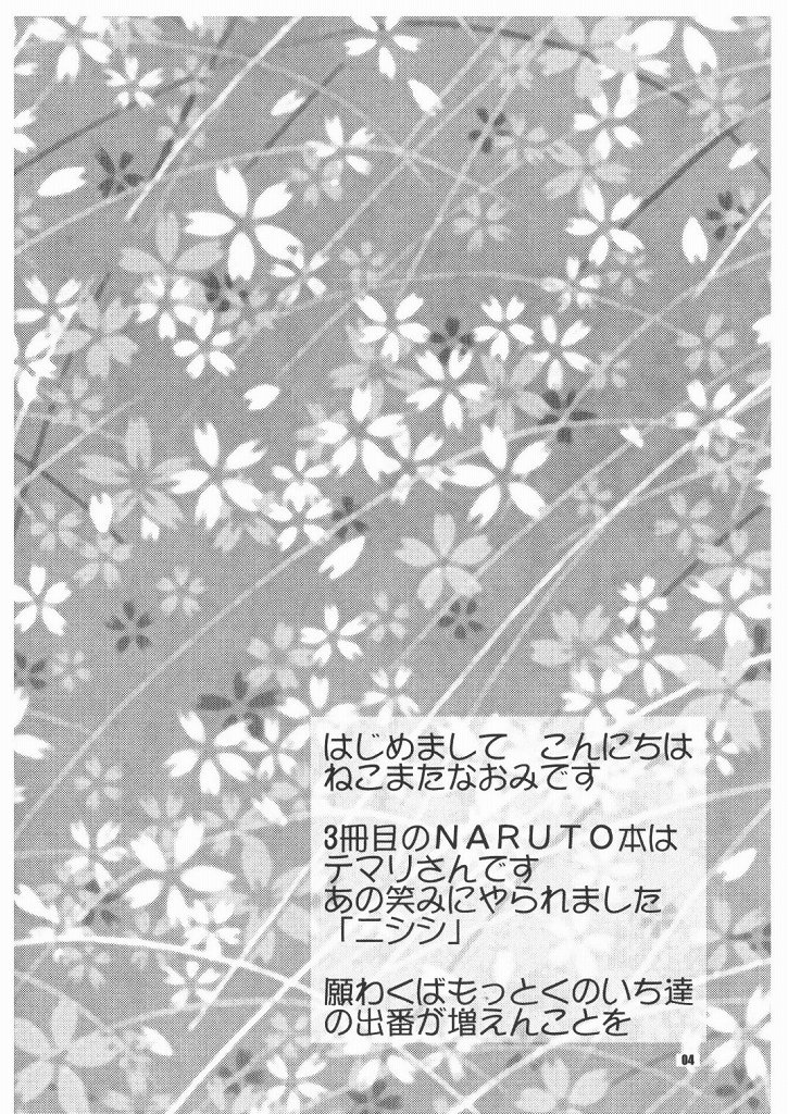 (C66) [ねこまた屋 (猫又なおみ)] 花手鞠 (ナルト)