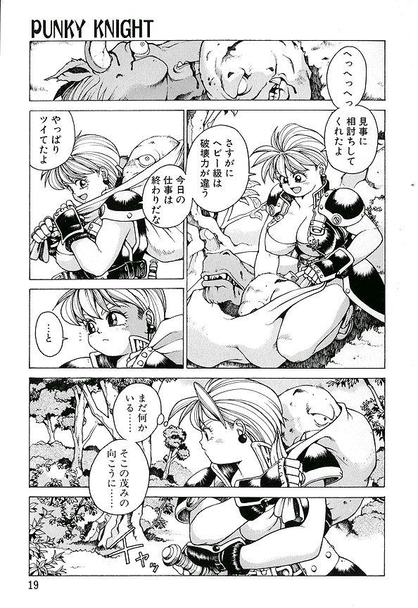 [傭兵小僧] PUNKY KNIGHT ～PINKY PHAIA～