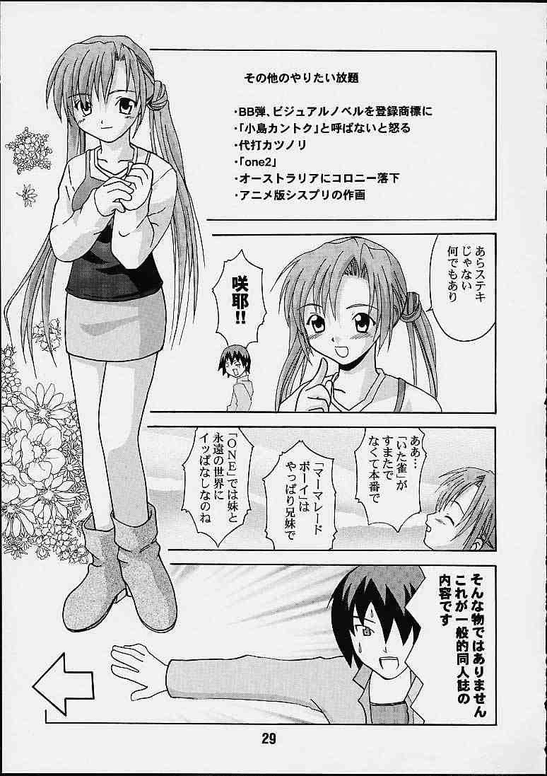 (Cレヴォ29) [篠原重工 (よろず)] 妹婚 (シスタープリンセス)