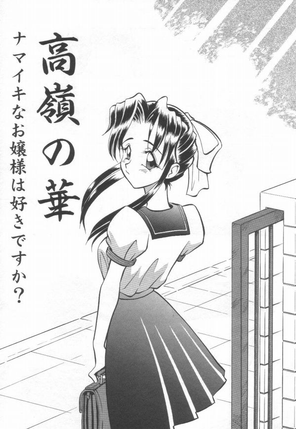 [高岡基文] Maid Me Mad
