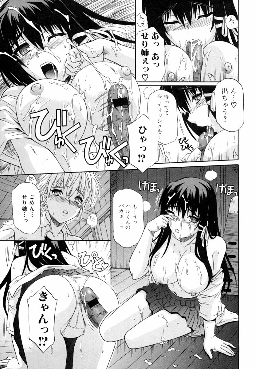 [つつみあかり] 姉の媚乳