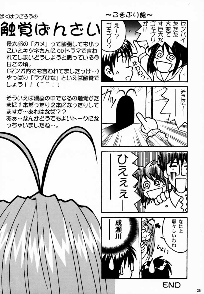 [ばくはつBRS. (ばくはつごろう)] 湯けむり大王 (ラブひな)