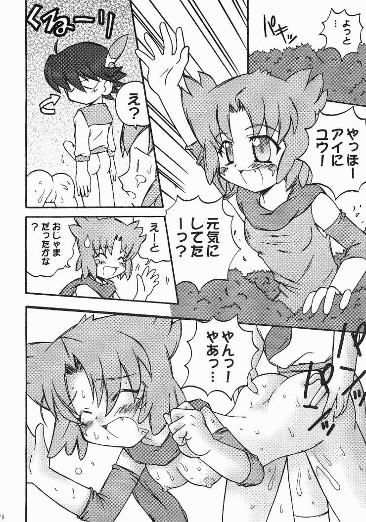 ファイナルアンサー（ファイナルファンタジーアンリミテッド）