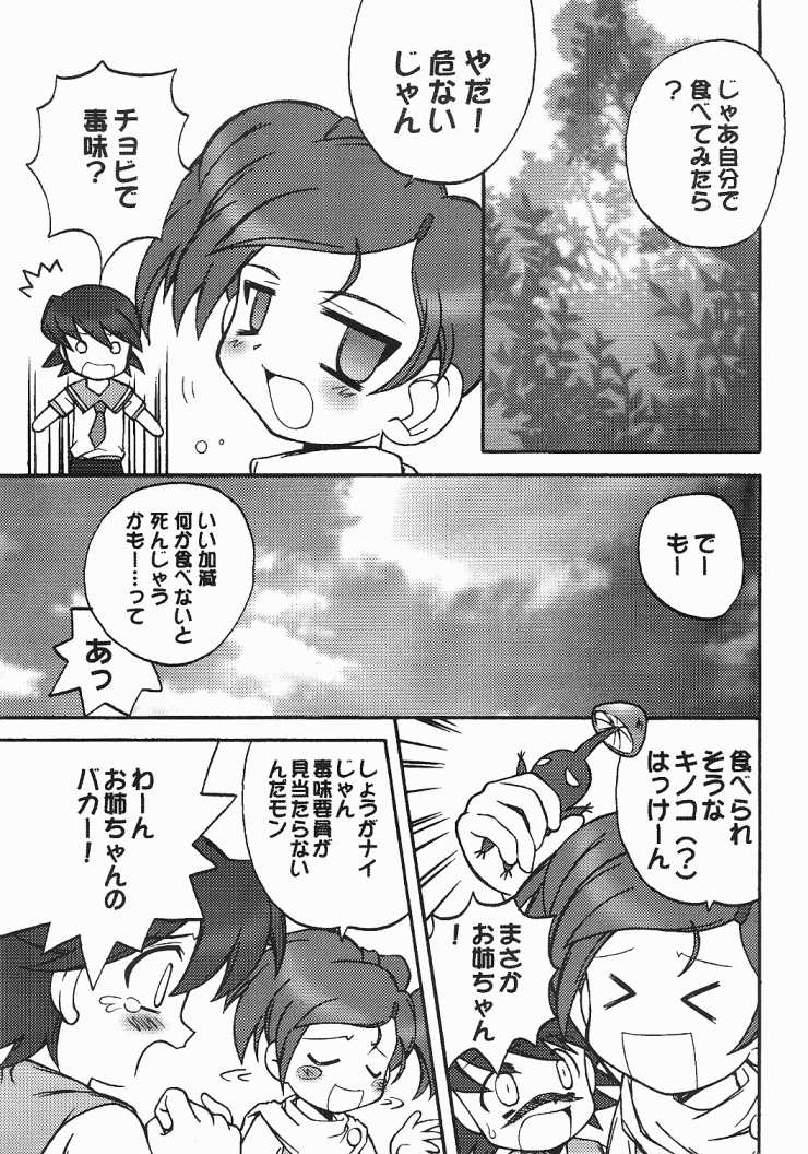 ファイナルアンサー（ファイナルファンタジーアンリミテッド）