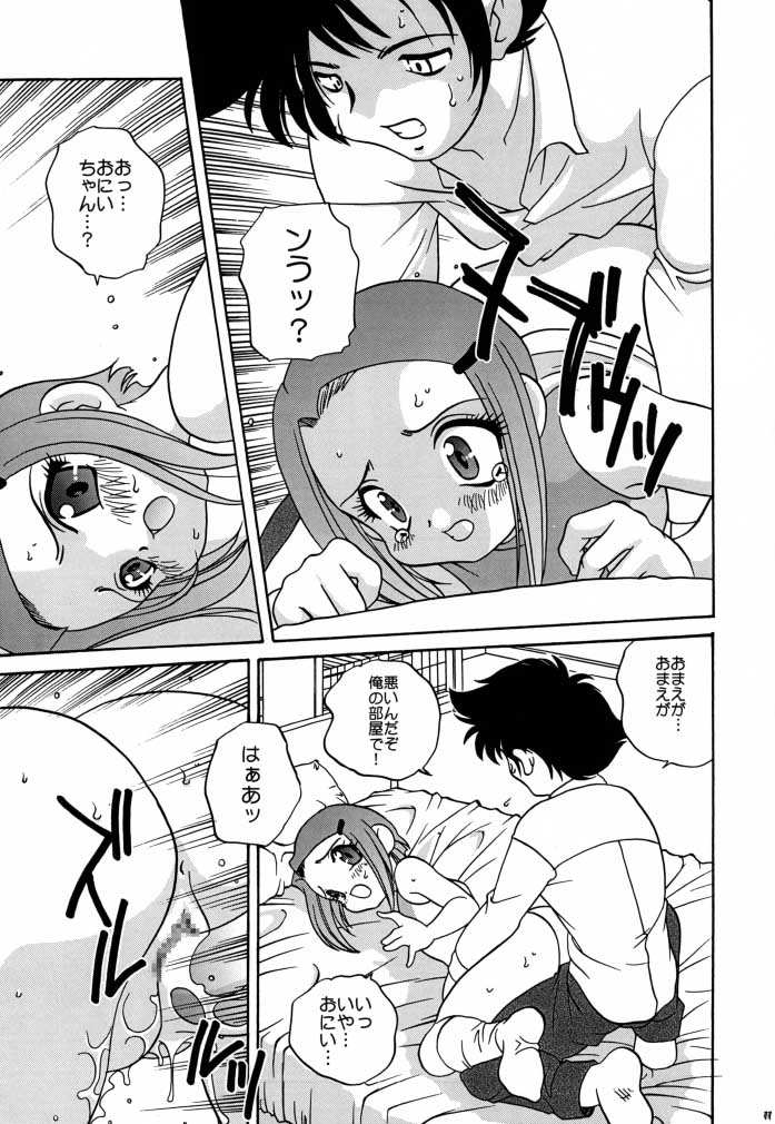 (C58) [ししゃもハウス (あらきあきら)] デジ本02 (デジモンアドベンチャー02)