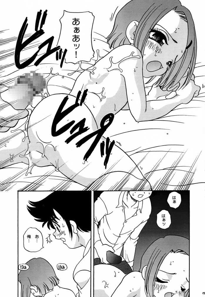 (C58) [ししゃもハウス (あらきあきら)] デジ本02 (デジモンアドベンチャー02)
