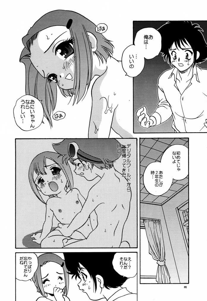 (C58) [ししゃもハウス (あらきあきら)] デジ本02 (デジモンアドベンチャー02)